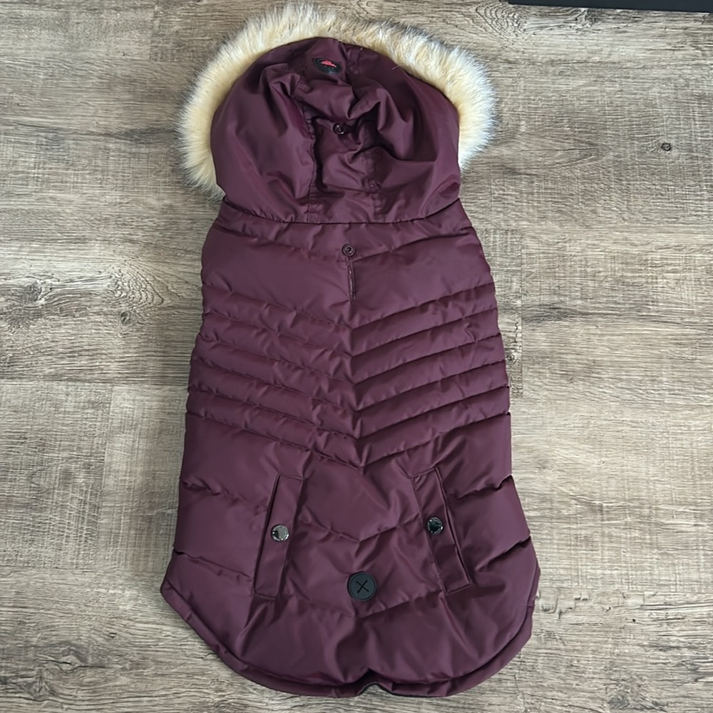 PAJAR Toby Jacket - Picture 6 of 11